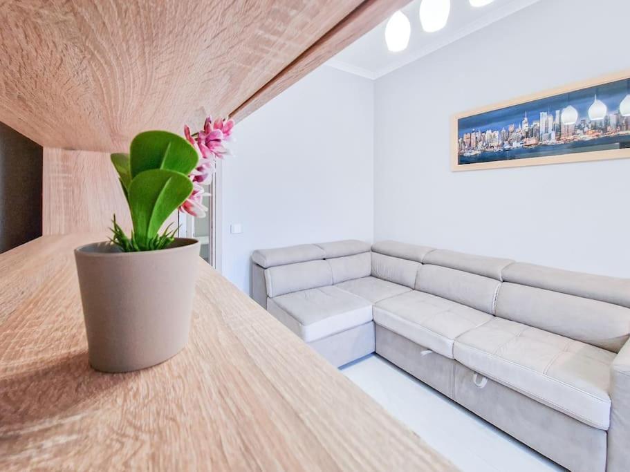 Puccio Home - Central Station Βερόνα Εξωτερικό φωτογραφία
